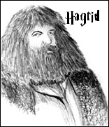  Rubeus Hagrid